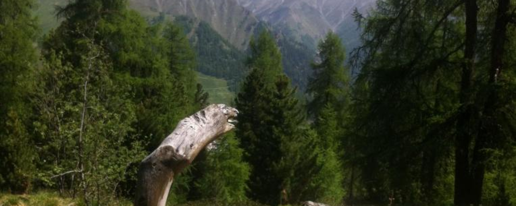 Brunnen bei Motta Saltuorn