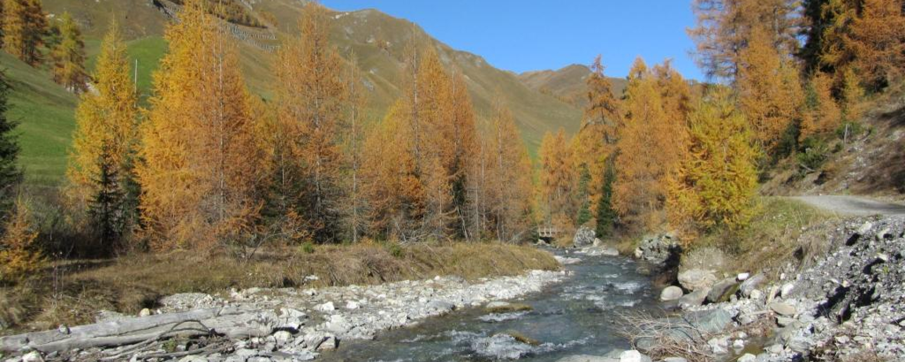 Schergenbach