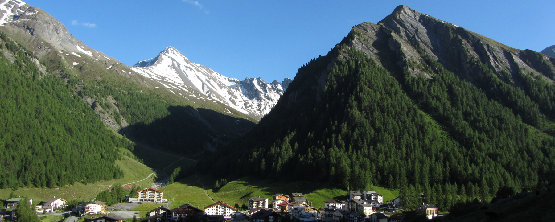 Musella