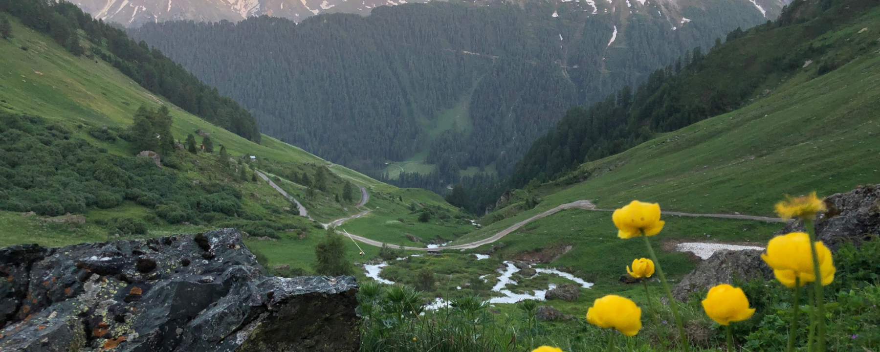 Beim Alpstein