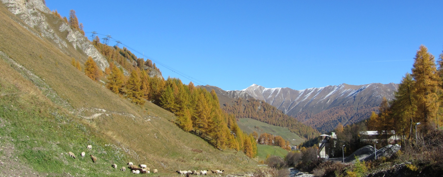 Schergenbach im Herbst