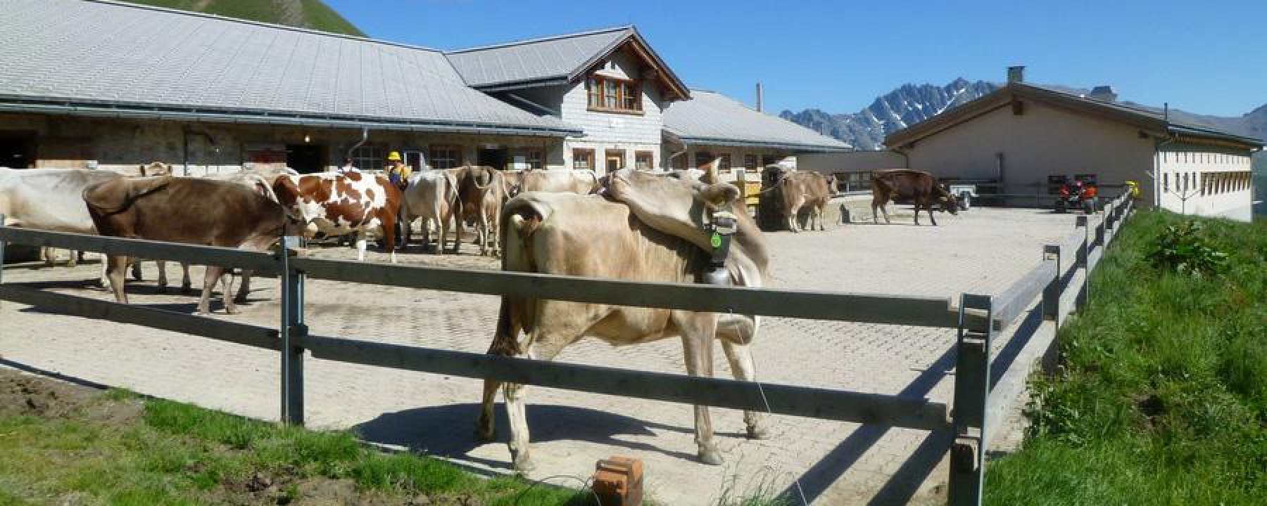 Alp Bella