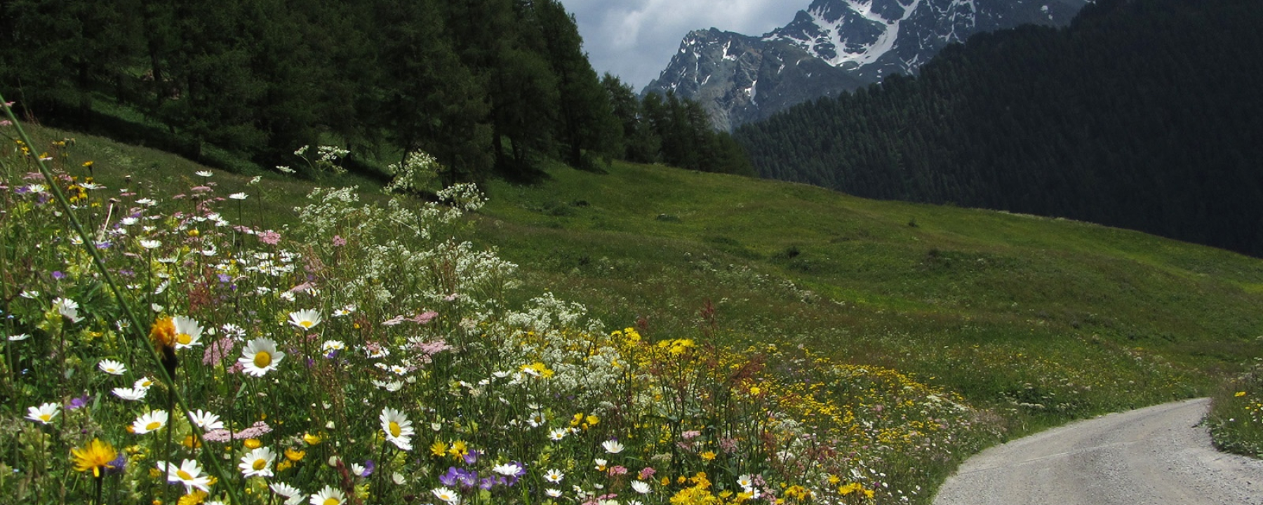 Alp Bella