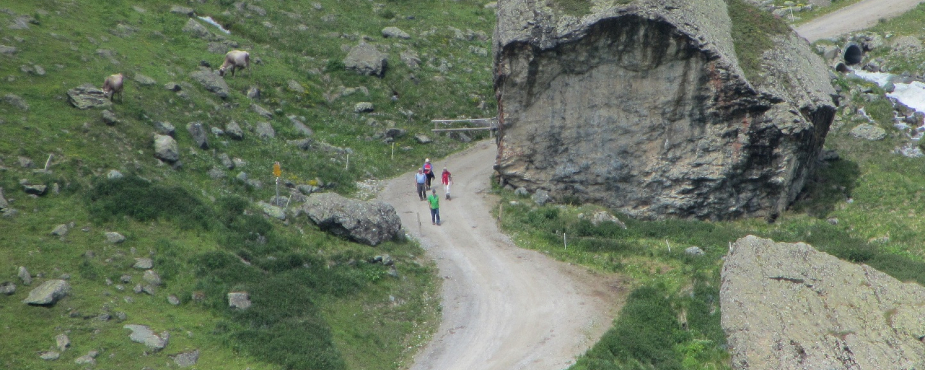 Alp Bella
