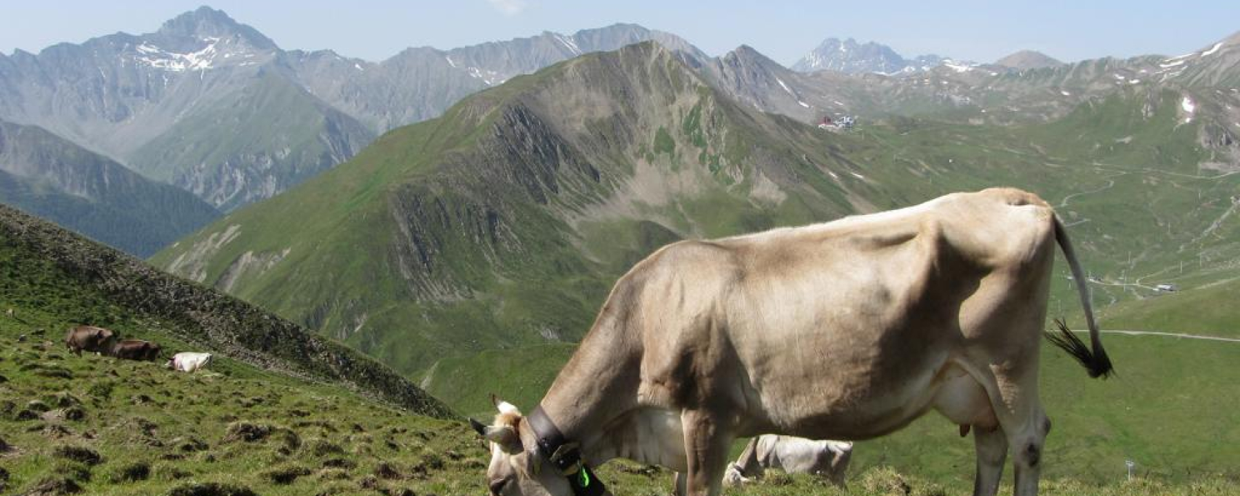 Fliesseralpe und Alp Bella