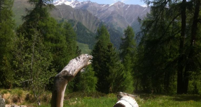 Brunnen bei Motta Saltuorn