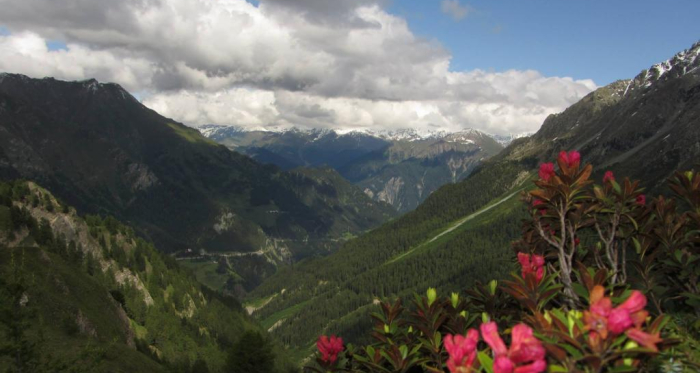 Blick von Fuorcla Curschiglia Richtung Inntal