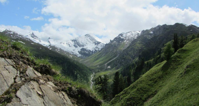 Fuorcla Curschiglias, Blick Richtung Val Sampuoir und Muttler