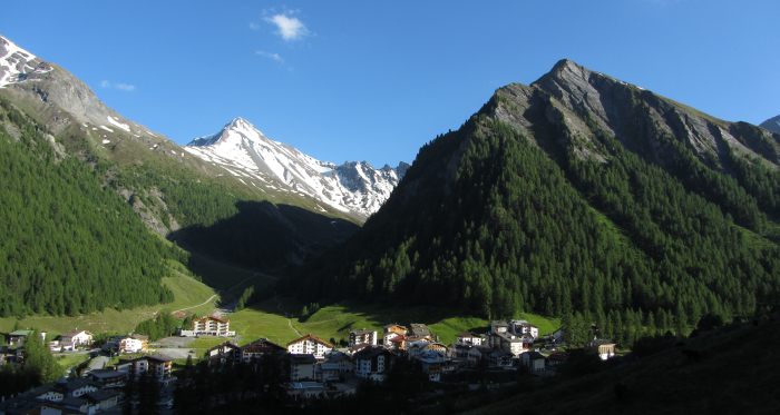 Musella