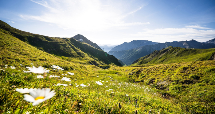 Blick in Richtung Alp Trider Sattel.