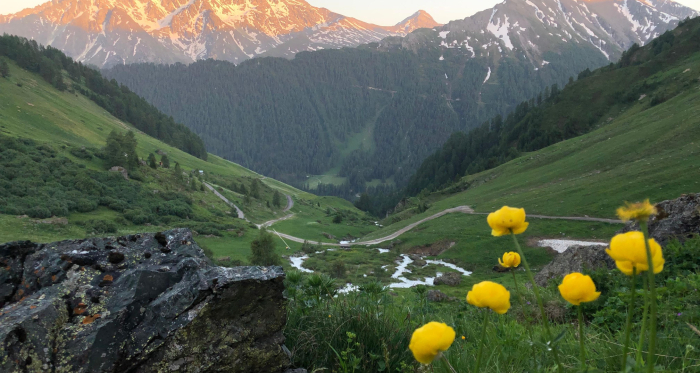 Beim Alpstein