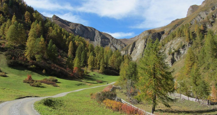 Gletscherwanderung