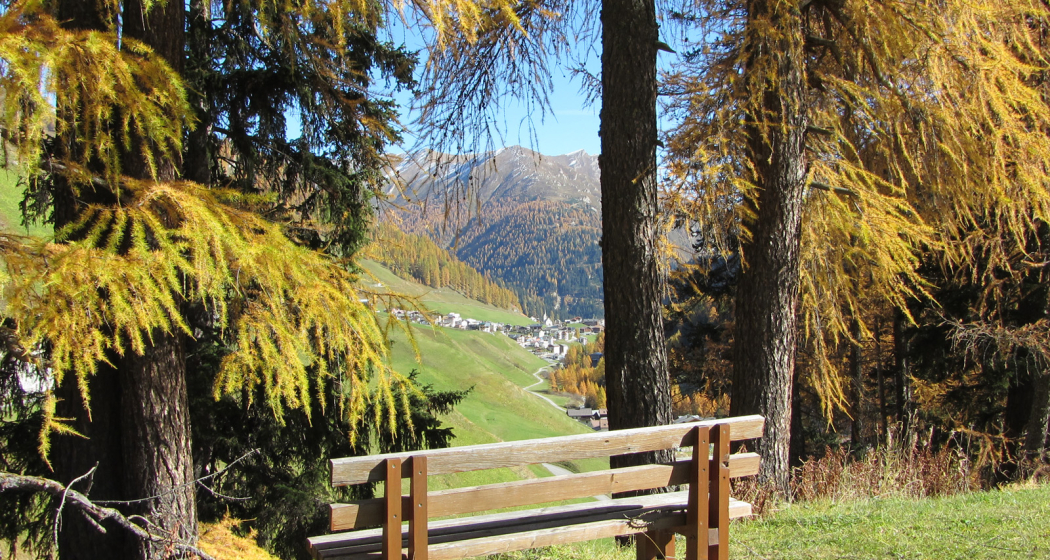 Talwanderweg am Südhang (oua_10809634_image) Talwanderweg am Südhang (oua_10809634_image)