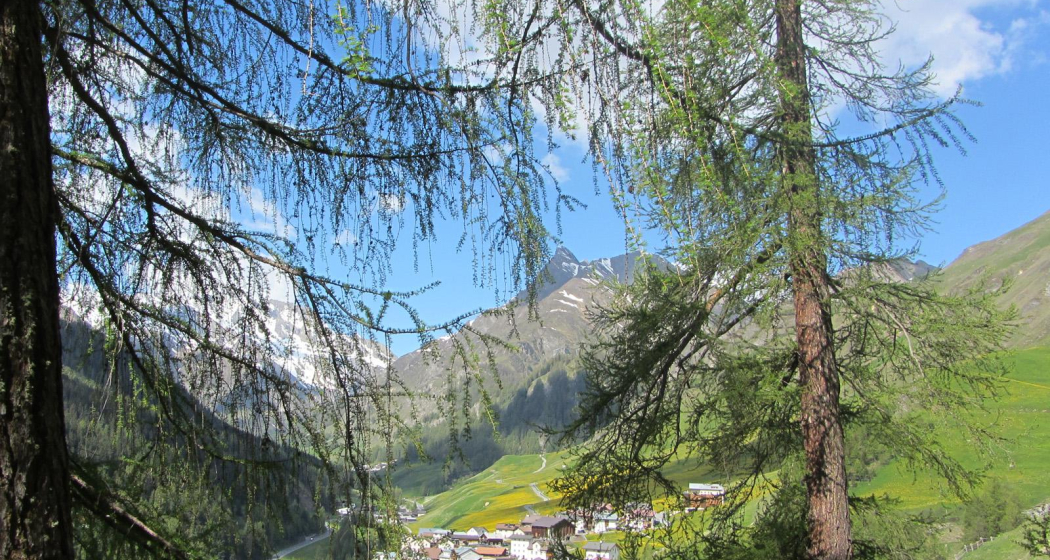 Talwanderweg am Südhang (oua_10809635_image) Talwanderweg am Südhang (oua_10809635_image)