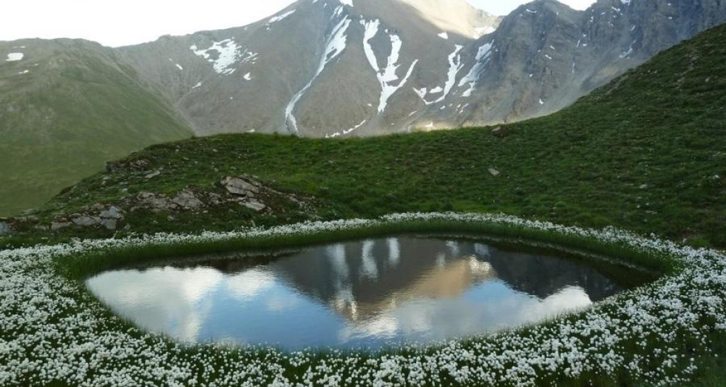 Samnaun Dorf – Stammerjoch (Rundtour) (oua_10817829_image)