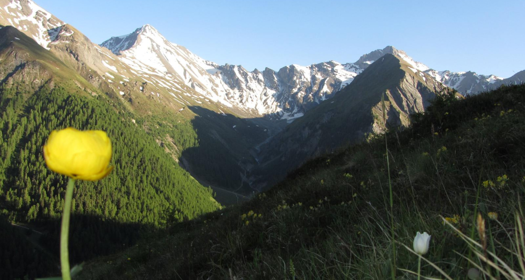 Samnaun Dorf – Mot Grond – Chè d’Mot – Samnaun-Laret (oua_10828105_image) Samnaun Dorf – Mot Grond – Chè d’Mot – Samnaun-Laret (oua_10828105_image)
