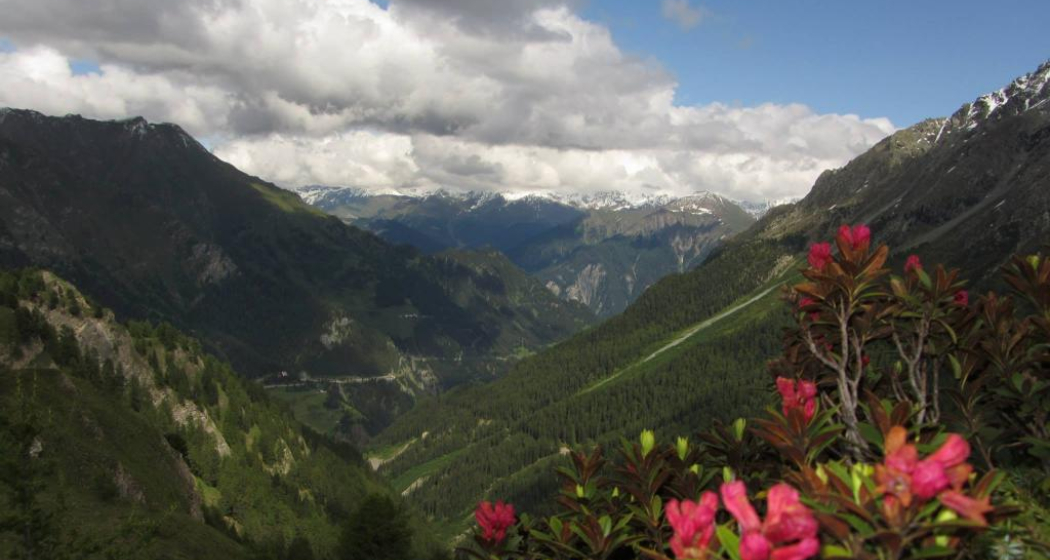 Blick von Fuorcla Curschiglia Richtung Inntal Blick von Fuorcla Curschiglia Richtung Inntal