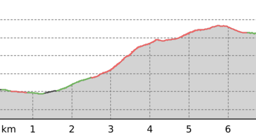TRANSALPINE RUN 2019 5. Etappe (oua_34061787_1e0dc65_profile) TRANSALPINE RUN 2019 5. Etappe (oua_34061787_1e0dc65_profile)