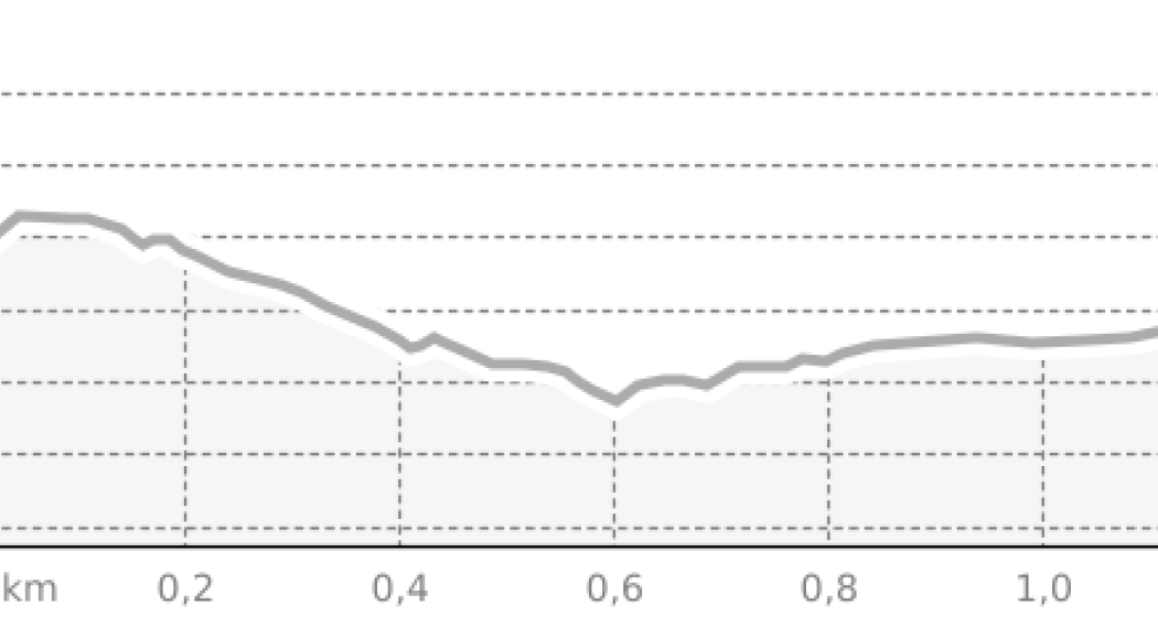 Schneeschuhtrail Samnaun Dorf, Motnaida (ST1) (oua_43790130_86b276c_profile)