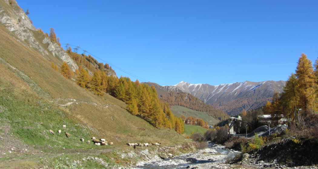 Schergenbach im Herbst Schergenbach im Herbst