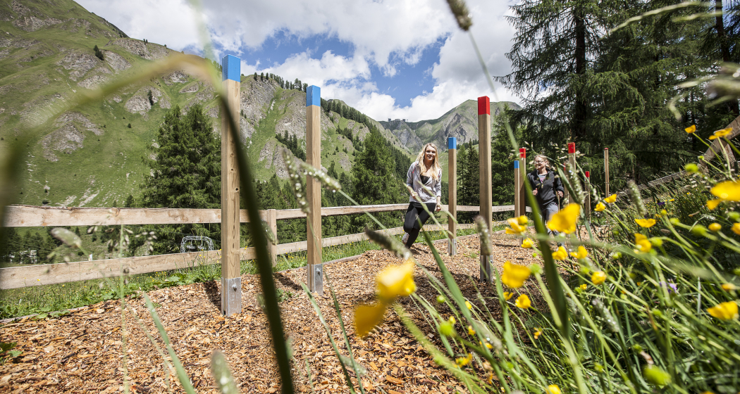 Der Trail beginnt beim Vitaparcours Der Trail beginnt beim Vitaparcours