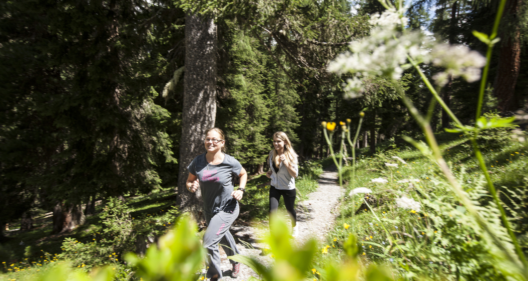 Ausschliesslich über Single-Trails und Forststrassen Ausschliesslich über Single-Trails und Forststrassen