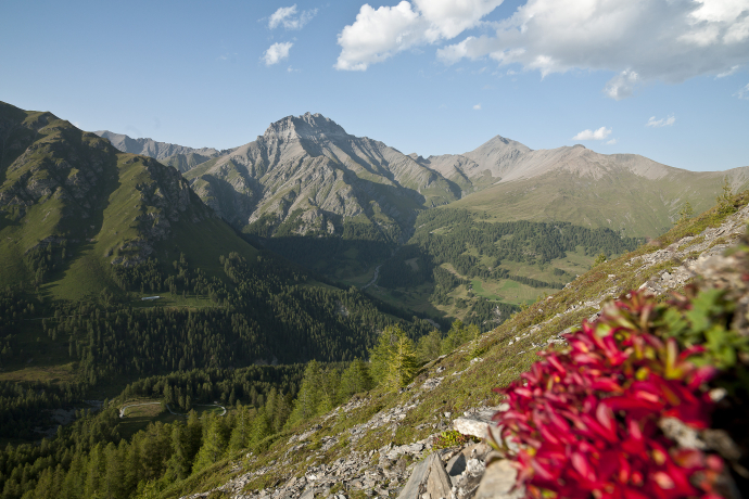Blick ins Val Sinestra über Zuort Blick ins Val Sinestra über Zuort