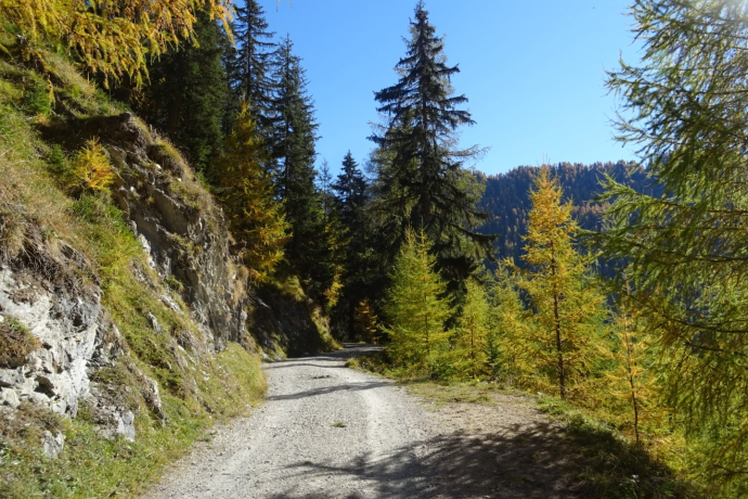 Culture trail (oua_33565236_image)