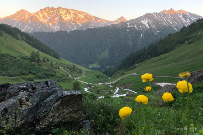 Beim Alpstein Beim Alpstein