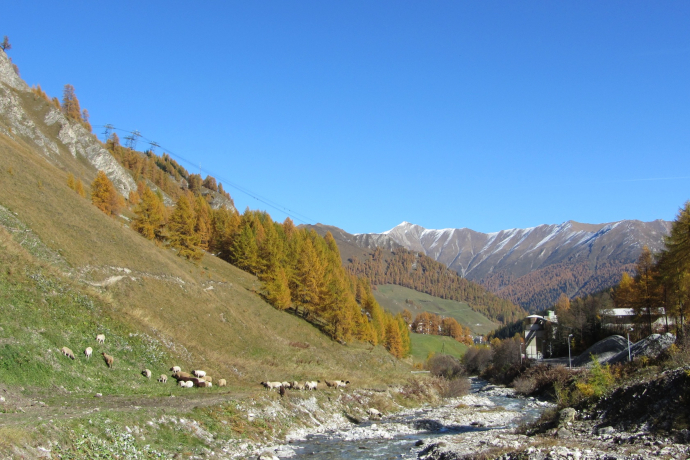 Schergenbach in autumn