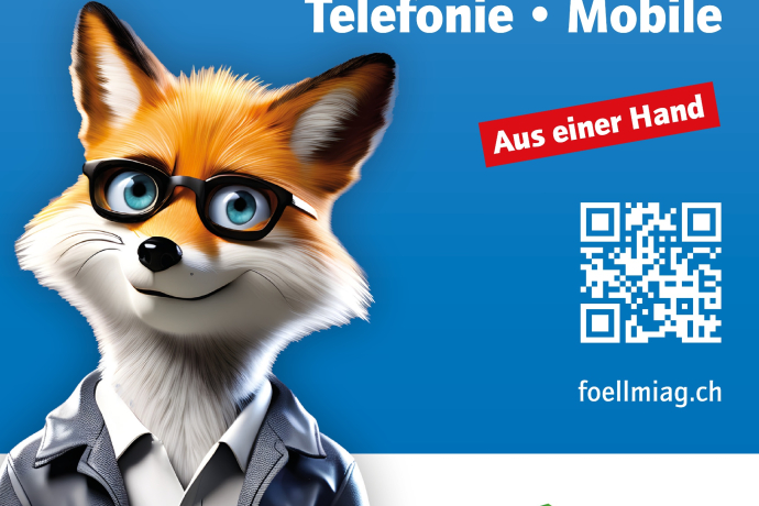 Föllmi ICT AG - IT, Internet, Telefonie & Mobile (oua_607879477_image) Föllmi ICT AG - IT, Internet, Telefonie & Mobile (oua_607879477_image)