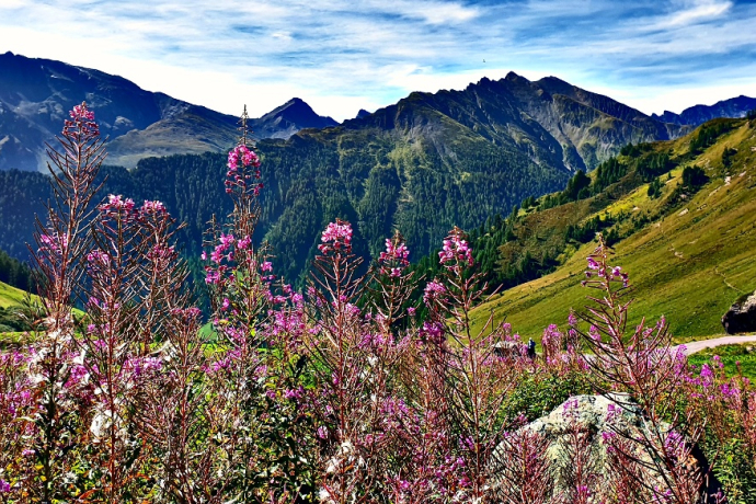 Fair Trail Alp Trida – Laret (oua_615199681_image)