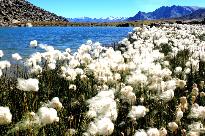 Bei den Seen Bei den Seen