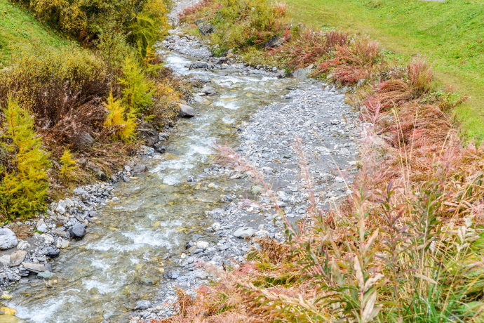 Spring trail valley (oua_94587295_image)