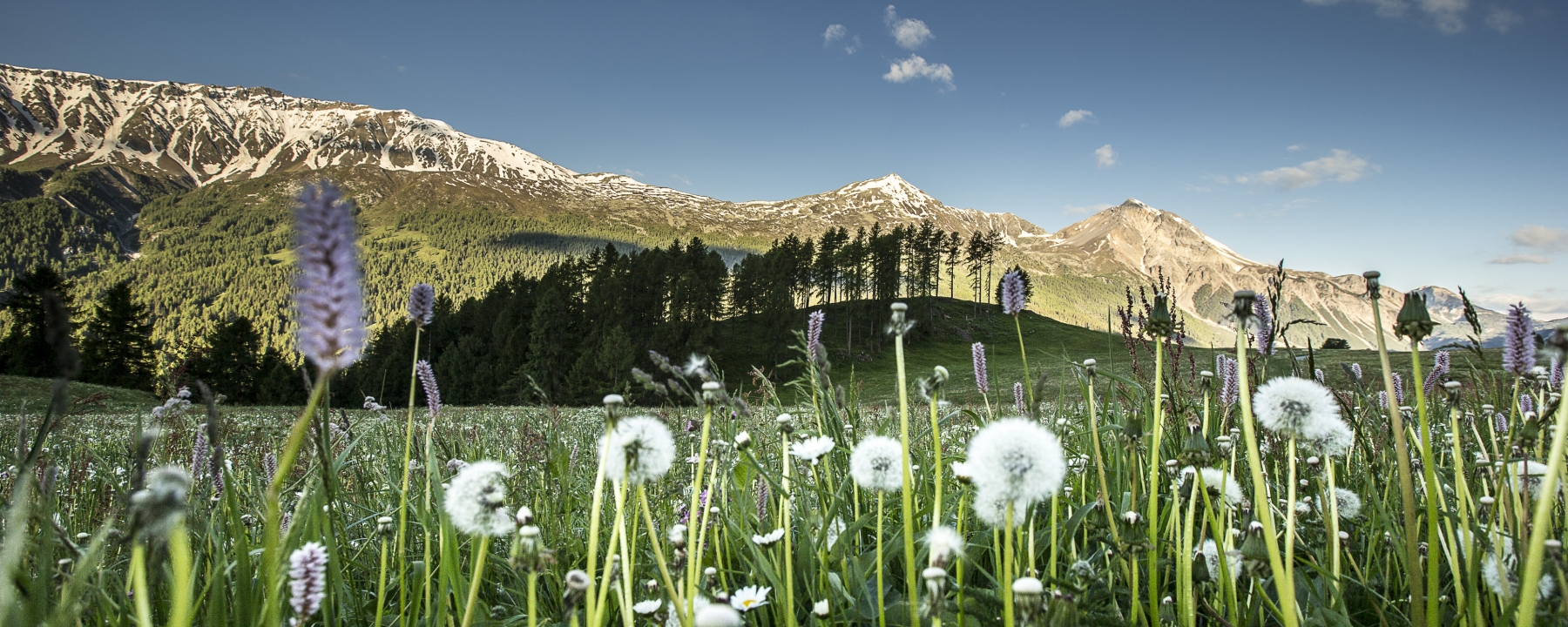 medinmitteilung-tessvm-und-naturpark-biosfera-titelbild