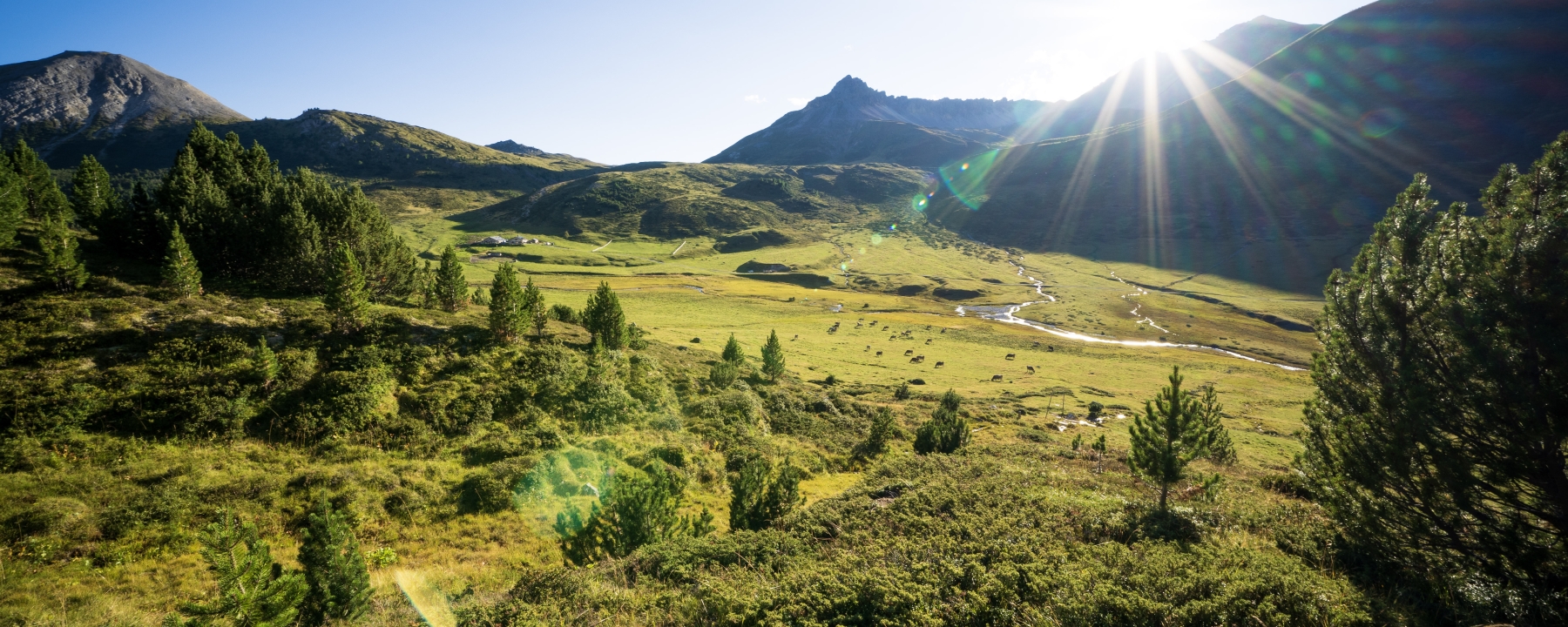 Blick auf die Alp Astras in S-charl.