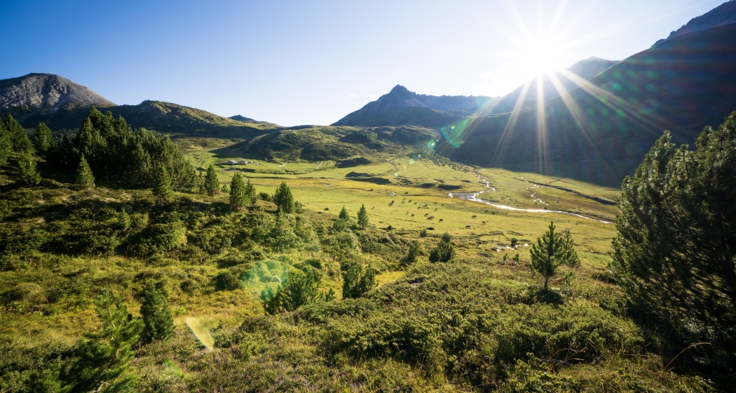 Blick auf die Alp Astras in S-charl. Blick auf die Alp Astras in S-charl.