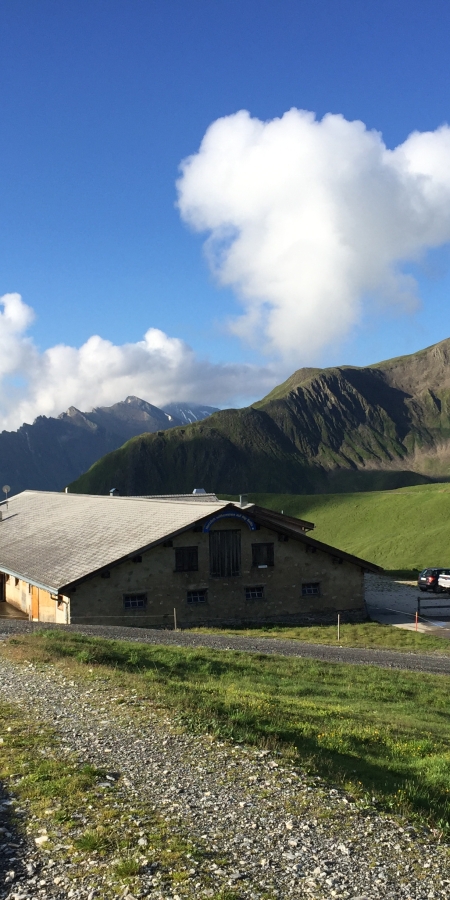 Alp Bella Alp Bella