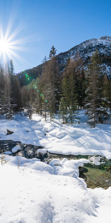 s-charl-winter-natur-landchaft-engadin.jpg