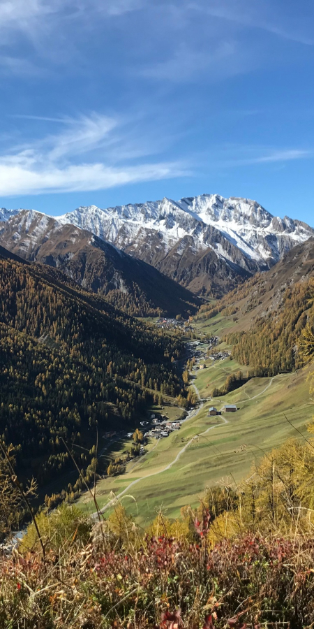 Herbst in der Natur Samnauns