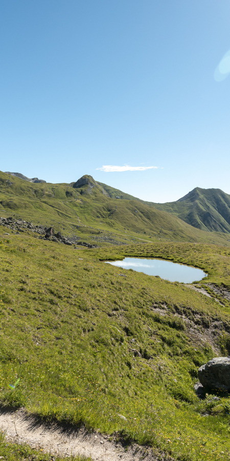 Wandern