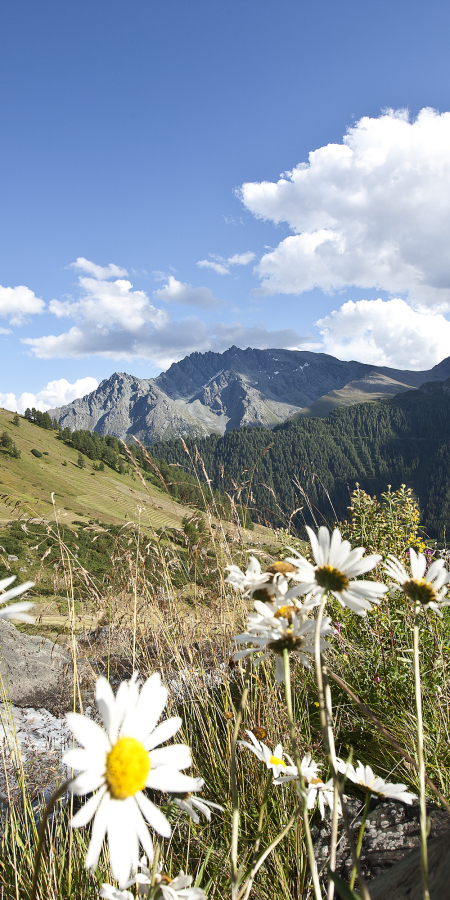 Wandern in der wunderschönen und beeindruckenden Natur Wandern in der wunderschönen und beeindruckenden Natur