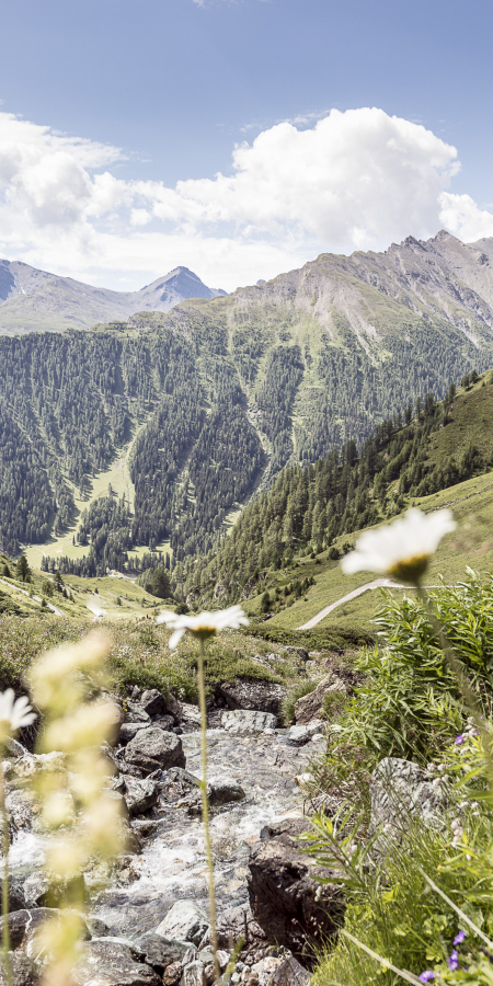Beim Alpstein oberhalb Samnaun-Laret