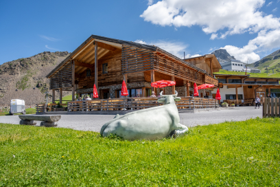 Vider Alp