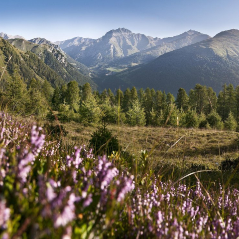 Landschaft Unterengadin