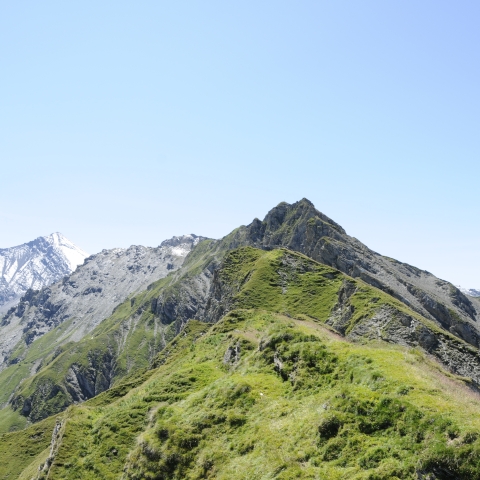 Schäfersteig Schäfersteig