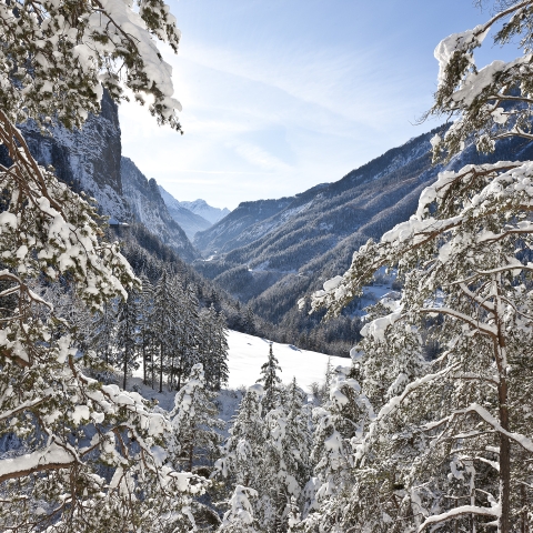 Winterwandern Winterwandern