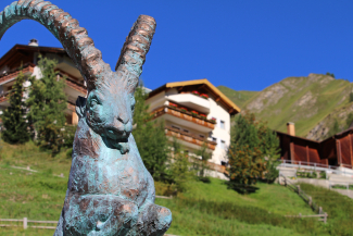 Steinbock von Helmut Tschiderer Steinbock von Helmut Tschiderer