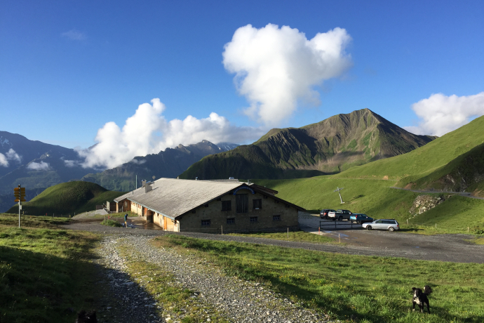 Alp Bella Alp Bella