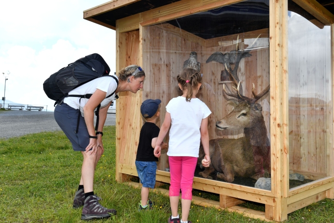 Tierausstellung auf dem Alptrider Sattel Tierausstellung auf dem Alptrider Sattel